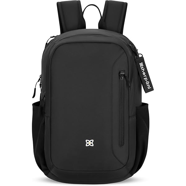 Amazon.com: Sherpani Camden, Convertible Backpack, 3 in 1 Tote Bag